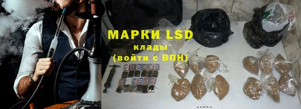 дживик Майский