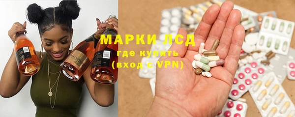гидра Магас