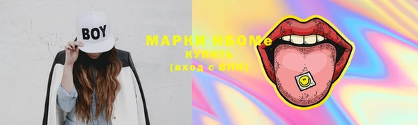 дживик Майский
