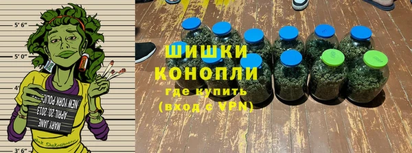 гидра Магас
