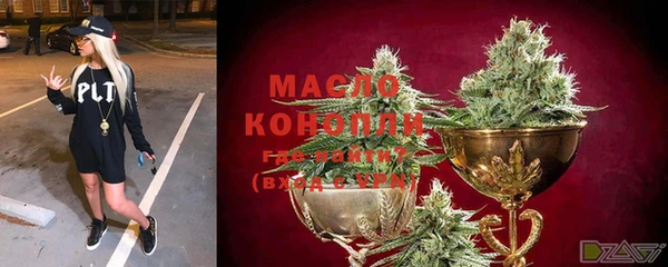 дживик Майский