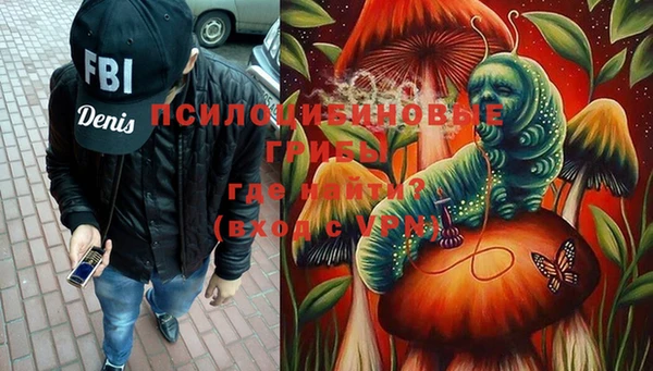 гидра Магас